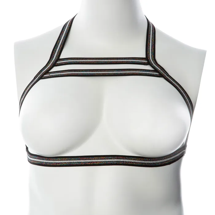 Gender Fluid Silver Lining Harness Largexxlarge MultiColor Gender Fluid Anal