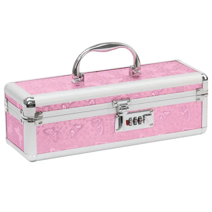 Vibrators | BMS Lockable KEYLESS Vibrator Case Sex Toy Storage Trunk Chest Pink - BMS Enterprises