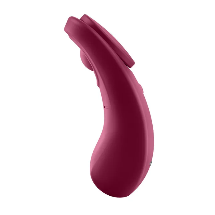 Vibrators | Satisfyer Satisfyer Sexy Secret - App Contolled USB-Rechargeable Panty Vibrator