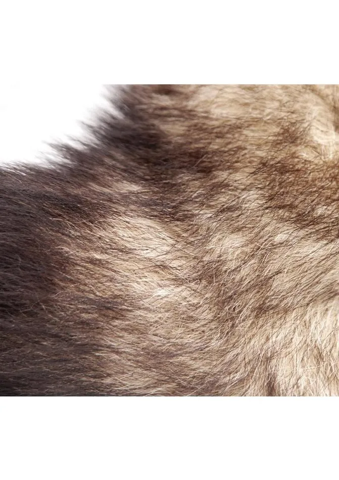 Master Series Male Sex Toys | Master Series Untamed XL Fox Tail Anal Plug