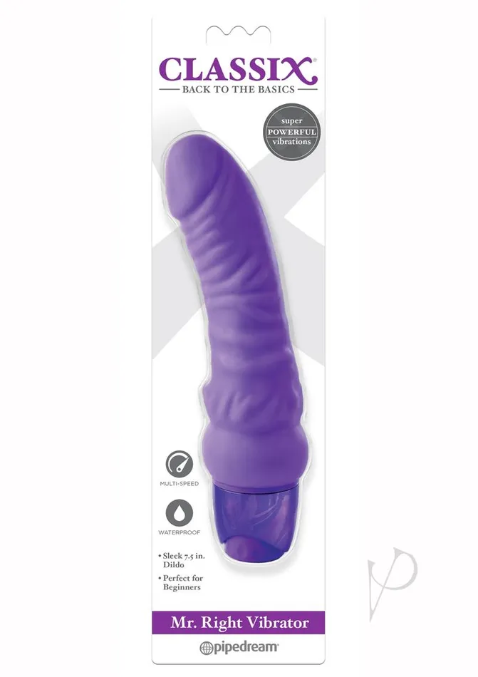 Pipedream Productsinc Mr Right Vibrator Purple Vibrators